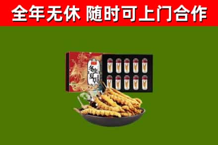 平塘县回收冬虫夏草价格